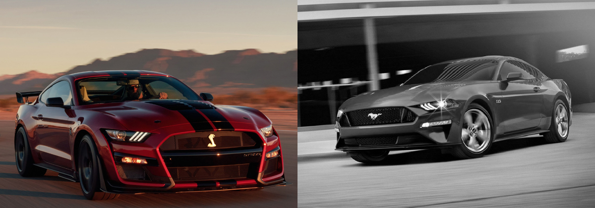 2020 Ford Mustang vs 2019 Ford Mustang | Orlando Area