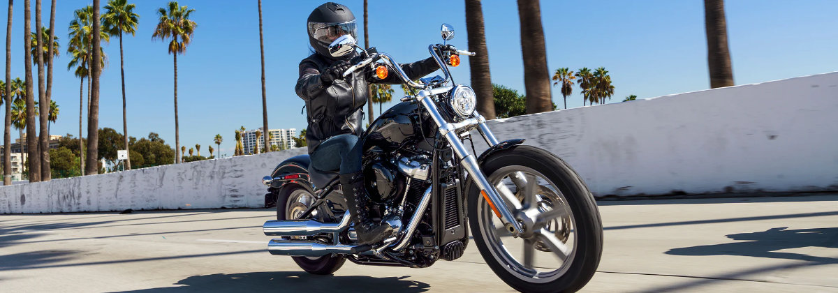 A 2022 Harley-Davidson® Softail® Standard is unique near Barre VT